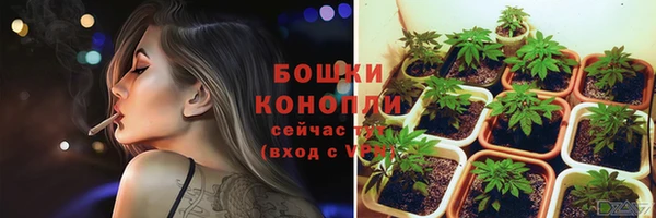 spice Богданович